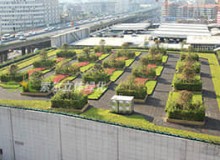 屋頂綠化會對建筑本身結構有影響嗎？