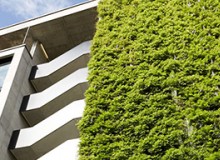 立體綠化獎勵補助政策有哪些？