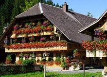 立體綠化應(yīng)用｜鄉(xiāng)村民宿景觀提升解決方案