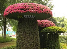 移動花園知多少？