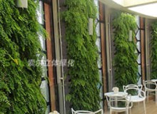 影響室內植物墻的環(huán)境因素有哪些？