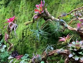 墻上花園——墻上的藝術