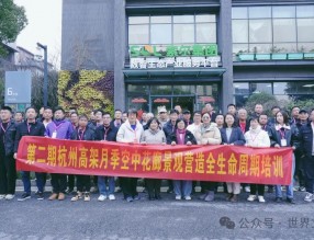 構(gòu)筑學習平臺，傳授杭州網(wǎng)紅高架月季經(jīng)驗