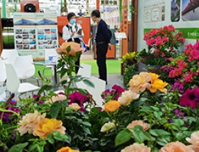 第二十二屆中國(guó)國(guó)際花卉園藝展精彩開(kāi)幕，先睹為快！