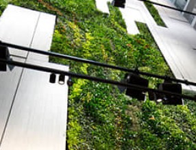 墨爾本：垂直綠化為柯林斯廣場創造了綠色花園