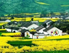 四部門印發(fā)《“十四五”鄉(xiāng)村綠化美化行動(dòng)方案》，哪些亮點(diǎn)值得關(guān)注？