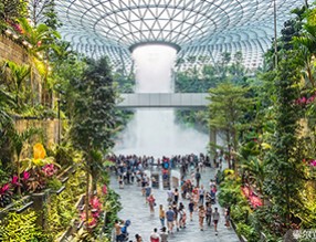 打造生態(tài)化公共空間，助力人文機場建設