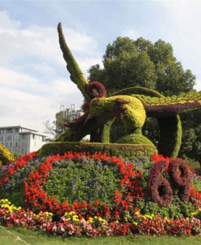 廣場(chǎng)景觀綠化提升