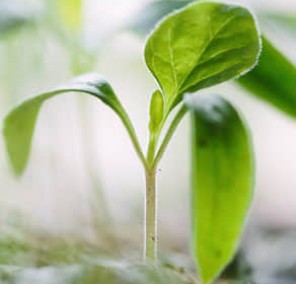 索爾集團(tuán)價值觀