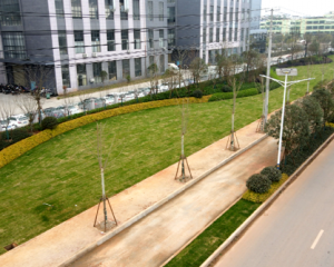 《境壩工業(yè)園大道》——南康城市道路景觀提升