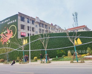 宿州老舊小區(qū)景觀提升立體綠化項目