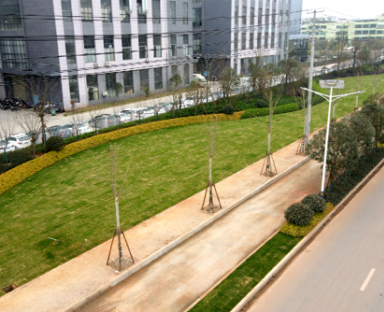 《境壩工業(yè)園大道》——南康城市道路景觀(guān)提升