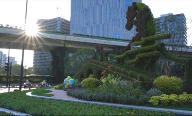 杭州上塘高架旁