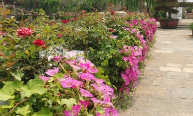 景區(qū)河岸景觀(guān)提升