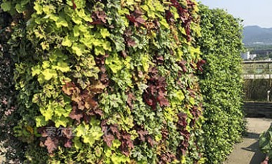 商務(wù)中心屋頂花園案例