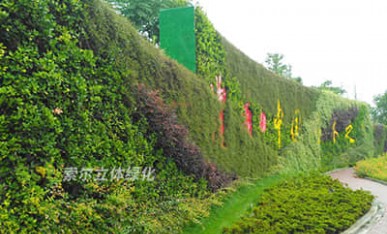 植物墻景觀提升