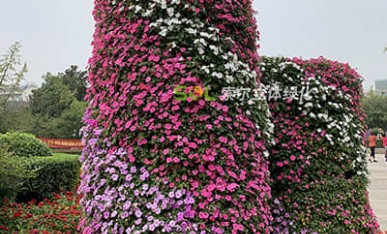 國慶廣場景觀提升