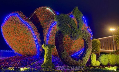夜景下的立體花壇《幸?；ㄩ_》