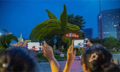 吸引市民駐足拍照