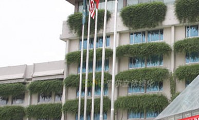 賓館窗臺(tái)綠化美化