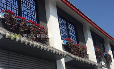 窗臺(tái)陽(yáng)臺(tái)綠化美化