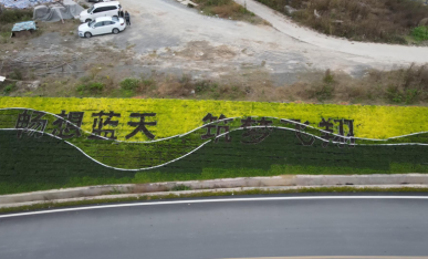 邊坡主題文字元素