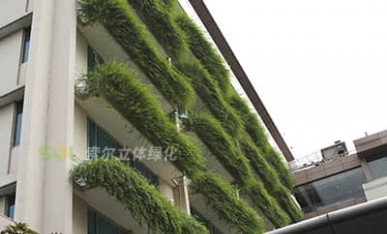 賓館窗臺(tái)綠化案例