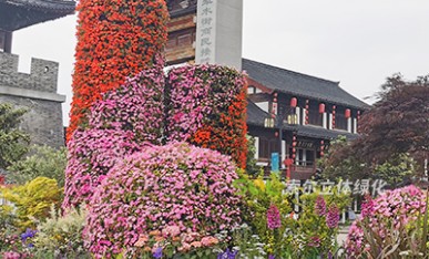 景區(qū)景觀(guān)提升