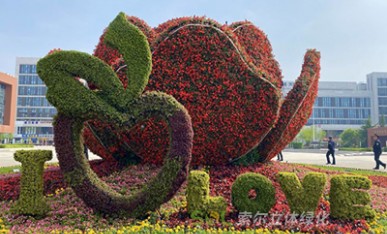 立體花壇《幸?；ㄩ_》