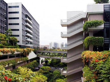 學(xué)校立體綠化解決方案簡(jiǎn)介