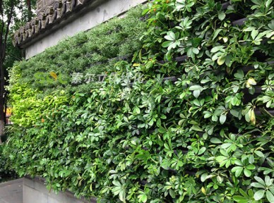 公廁生態(tài)環(huán)境解決方案簡(jiǎn)介