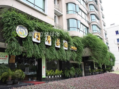 門(mén)店立體綠化解決方案
