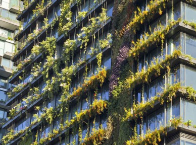 小區(qū)立體綠化解決方案簡(jiǎn)介