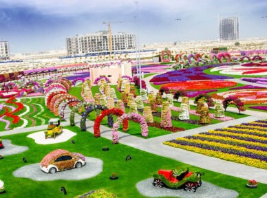 公園景觀提升解決方案簡(jiǎn)介