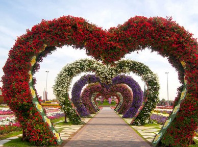 公園景觀提升解決方案簡(jiǎn)介