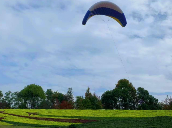 《暢想藍(lán)天·筑夢(mèng)飛行》——南康飛行小鎮(zhèn)邊坡綠化