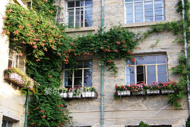 窗臺(tái)美化景觀設(shè)計(jì)實(shí)際效果圖