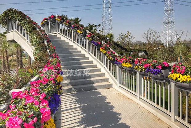 人行天橋綠化景觀設(shè)計(jì)實(shí)際效果圖