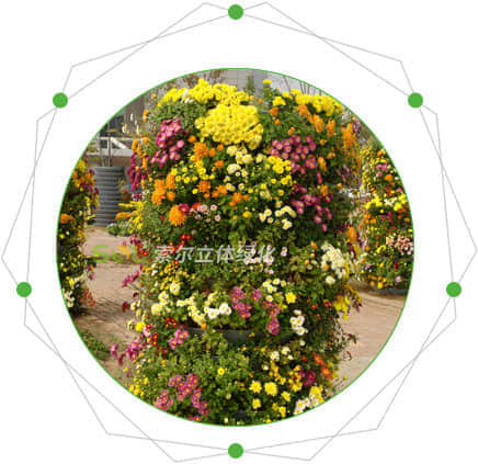 花柱/花塔的特點