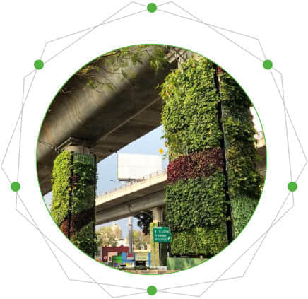 橋墩綠化的特點(diǎn)