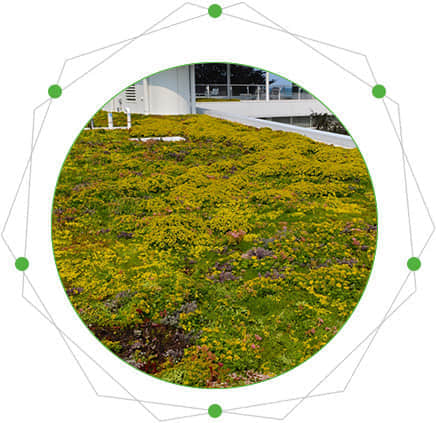 屋頂綠化的特點(diǎn)