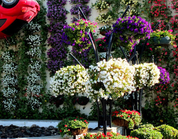 花樹解決方案簡(jiǎn)介2