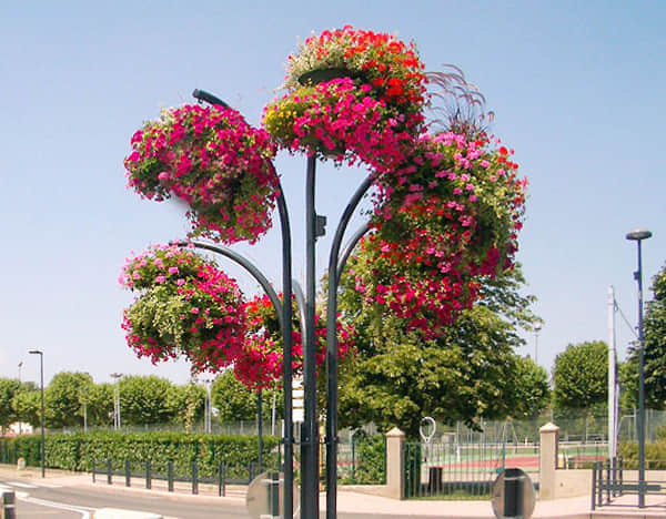 花樹解決方案簡(jiǎn)介1