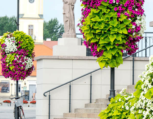 燈桿綠化解決方案簡(jiǎn)介2