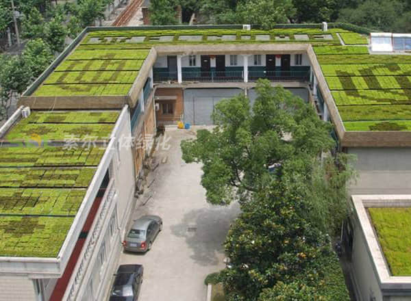 屋頂綠化灌溉養(yǎng)護(hù)