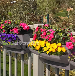 屋頂護欄掛式美化