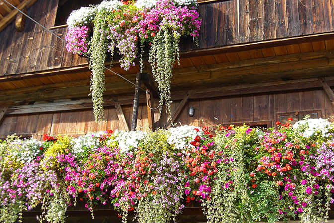 旅游小鎮(zhèn)景觀提升民宿客棧陽臺花園