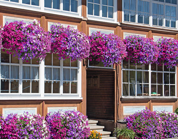 窗臺(tái)美化解決方案簡介