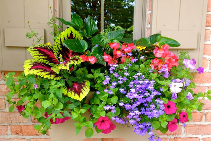 道路街道景觀提升步行街門店窗臺(tái)美化