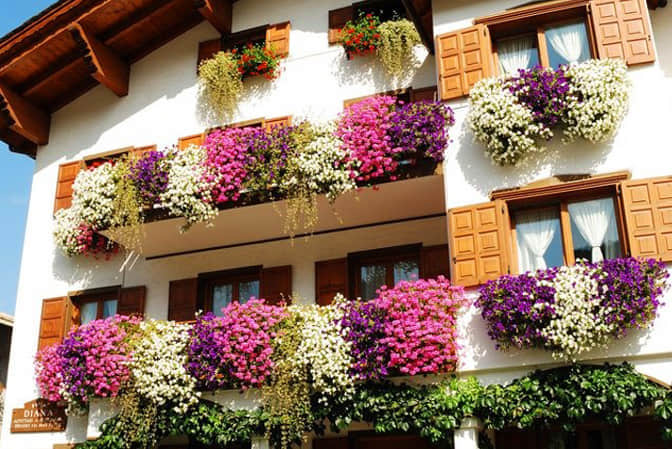 旅游小鎮(zhèn)景觀提升民宿客棧窗臺(tái)美化